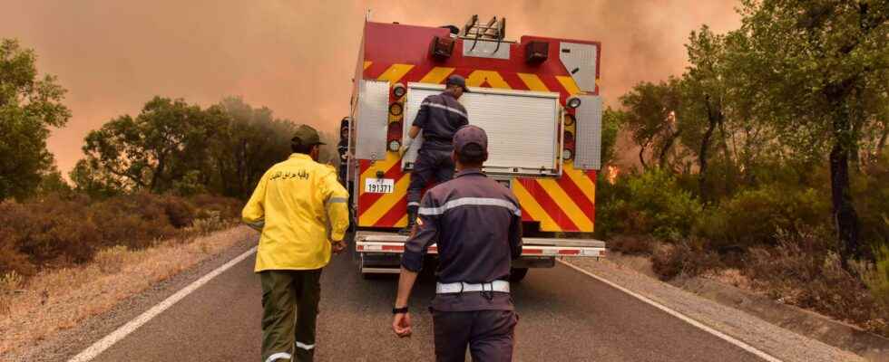 One dead in Moroccan forest fires