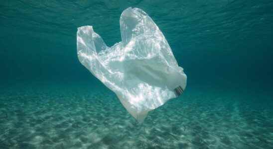 Plastic bags that dissolve in water
