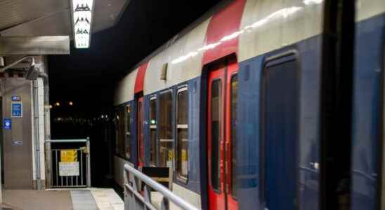 RER B users in distress evacuated on the tracks VIDEO