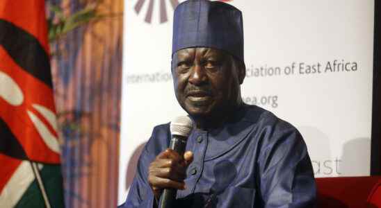 Raila Odinga calls for a free and fair presidential election