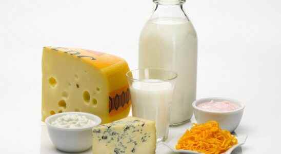 Regular consumption of dairy products increases the risk of cancer