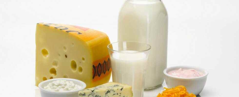 Regular consumption of dairy products increases the risk of cancer