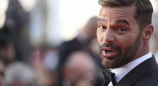 Ricky Martin accused of incest his nephew backtracks the singer