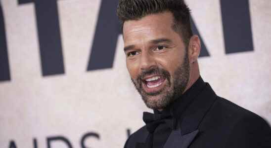 Ricky Martin accused of incest what we know