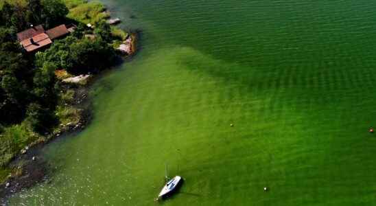 Risk of algal blooms when the summer heat returns