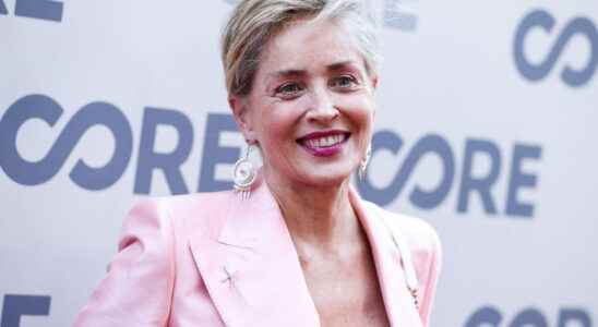 Sharon Stone reveals her unretouched silhouette