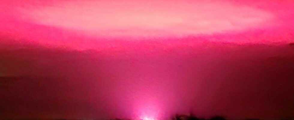 Shock pink glow in the sky in Australia be cannabis