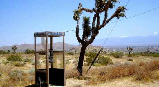 The Beautiful Story of Mojaves Phone Booth