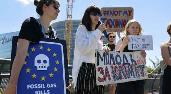 The EU must decide whether nuclear and gas will be