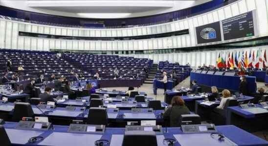 The European Parliament calls for the inclusion of abortion in