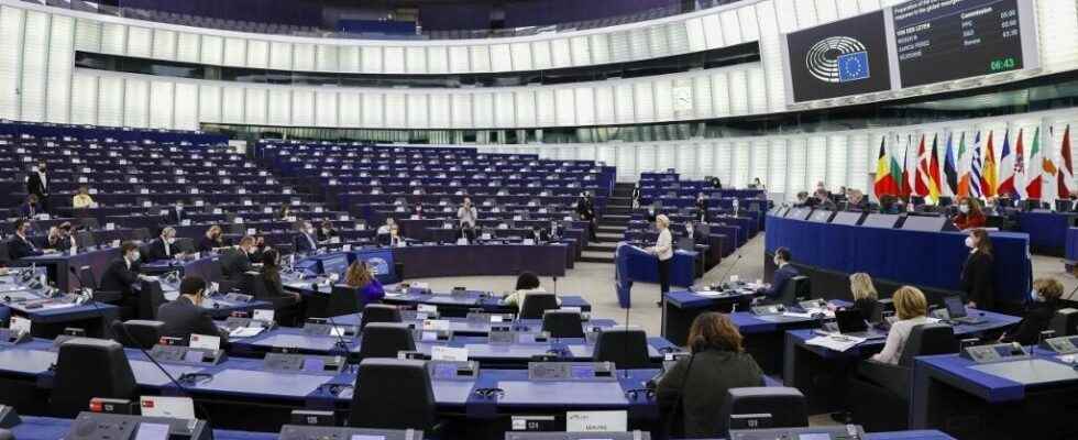 The European Parliament calls for the inclusion of abortion in