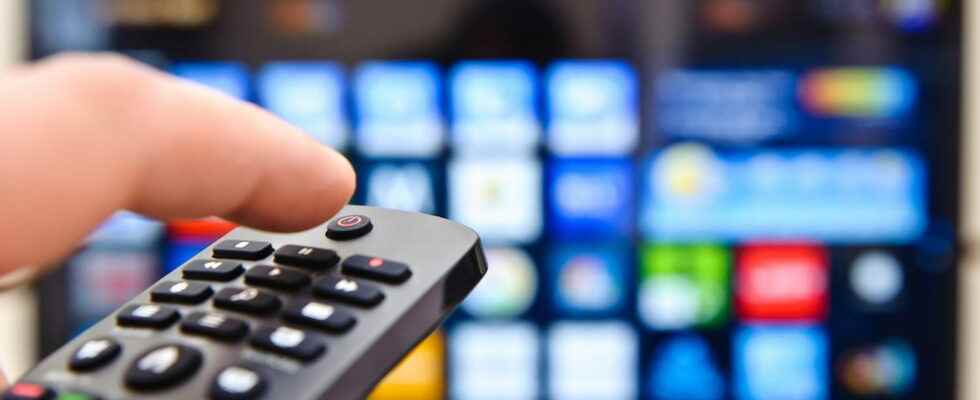 The deputies voted to abolish the TV license fee the