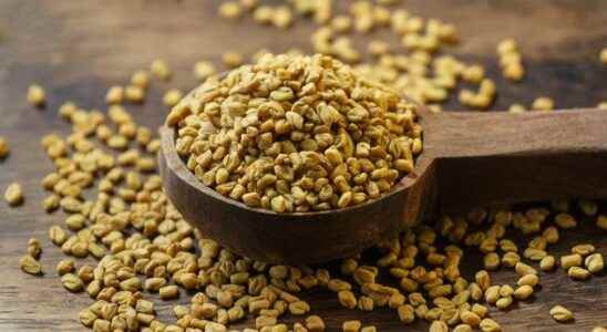 The most effective pain reliever in nature What is fenugreek