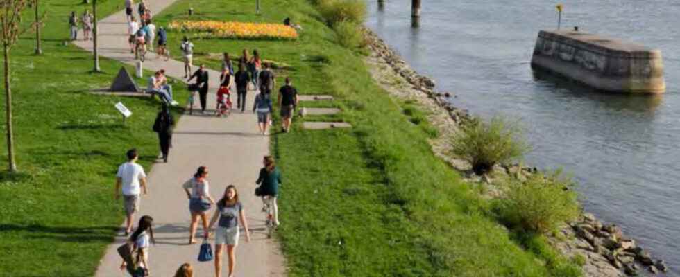 The renaturation of Strasbourg for residents in need of nature