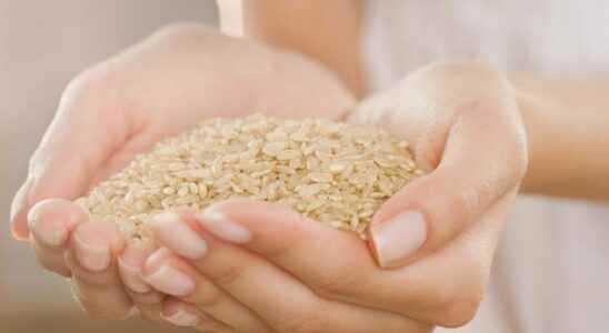 Three good reasons to integrate rice into your bathroom