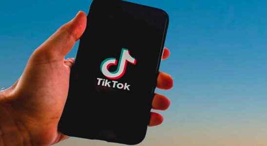 TikTok Confirmed Data Sharing