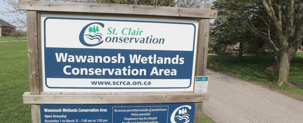 Trail upgrade planned at Wawanosh Wetland Conservation Area
