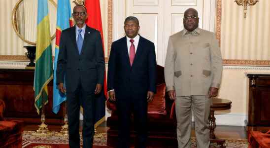 Tshisekedi and Kagame agree on a ceasefire according to the