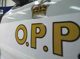 Wallaceburg man charged with drug offenses