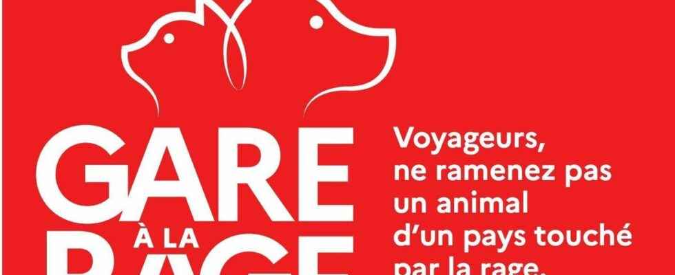 Watch out for rabies the Ministry of Agricultures rabies awareness