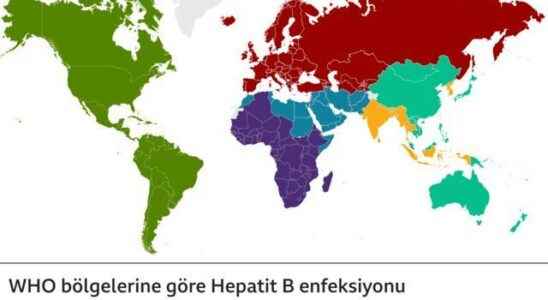 World Hepatitis Day How to protect yourself from the disease