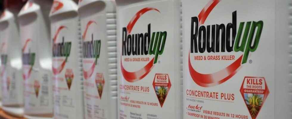 court reauthorizes Monsanto to import glyphosate and GMO corn
