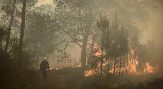 fire still raging in Landiras end of the disaster in