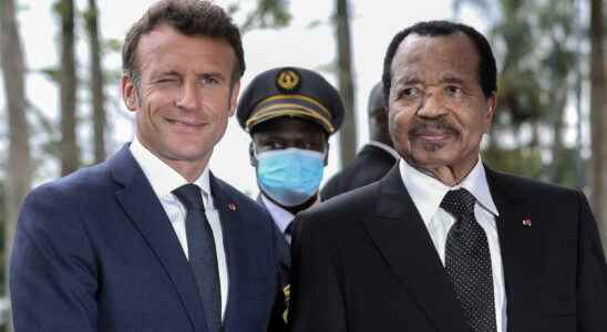 in Cameroon between political stakes and jubilation in the Noah