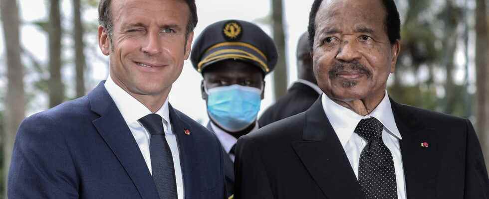 in Cameroon between political stakes and jubilation in the Noah