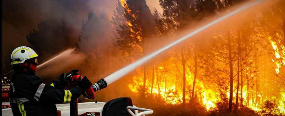 nearly 10000 hectares burned and more than 12200 people evacuated