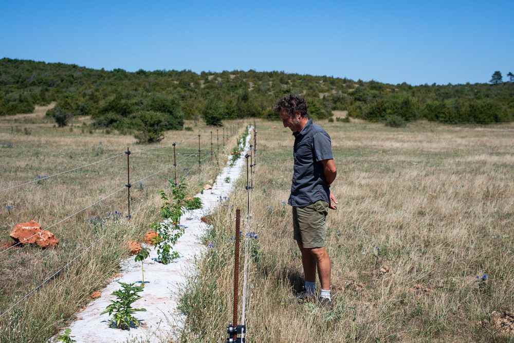 1659328492 27 Drought in the Herault farmers are trying to adapt