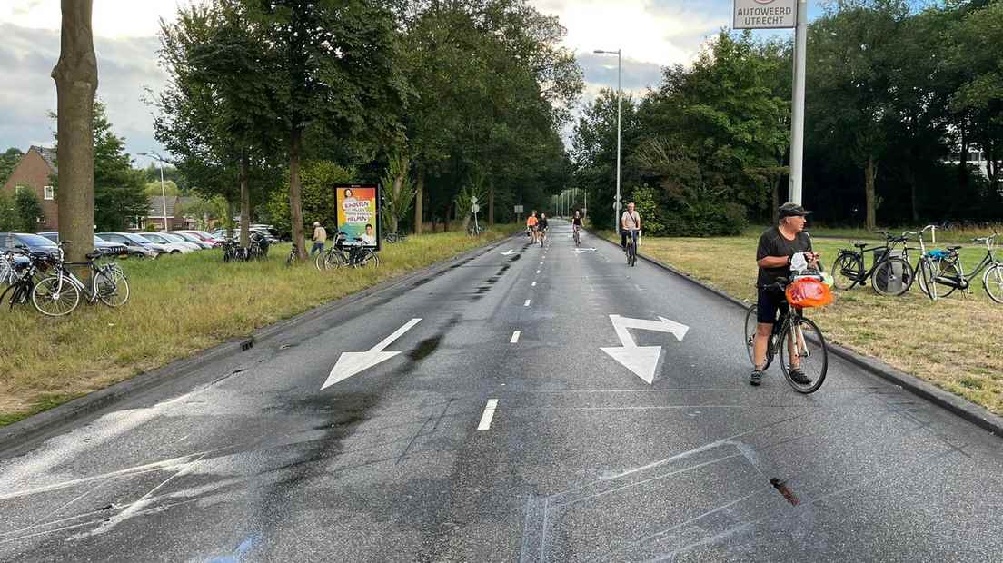 Cyclists on the N230.