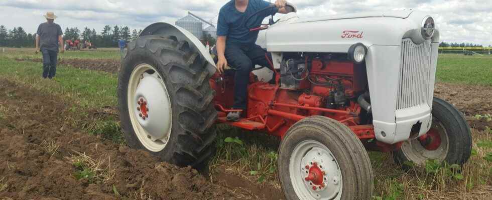 21 competitors at Chatham Kent Plowing Match