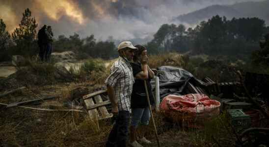 24000 hectares ravaged by fire in the Serra da Estrela