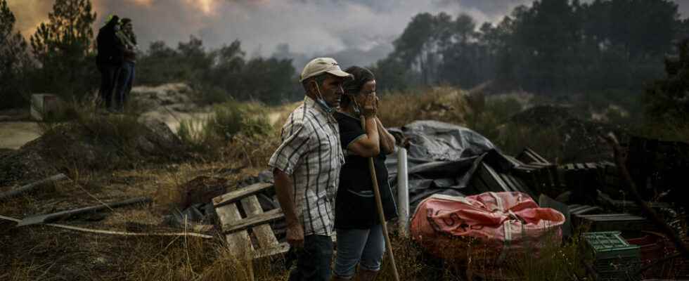 24000 hectares ravaged by fire in the Serra da Estrela