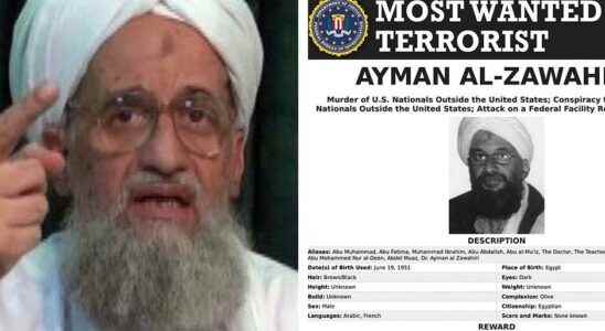Al Qaeda leader Ayman al Zawahri killed by US