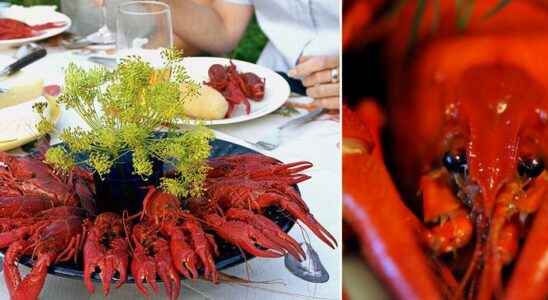 Alert about poison in Swedish crayfish The Swedish Food