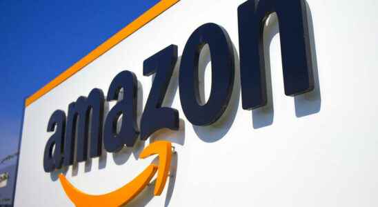 Amazon slammed over literary forgery scandal