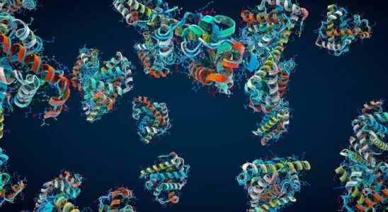 An AI predicts the structure of almost every known protein