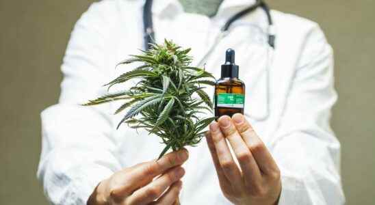 CBD this cannabis derivative shows promising effects against anxiety