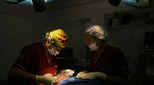 Cosmetic surgery Colombia an Eldorado for charlatans