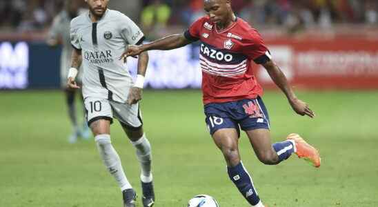 DIRECT Ligue 1 Losc must recover classification and calendar