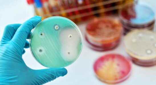 Developed effective drug against resistant bacteria