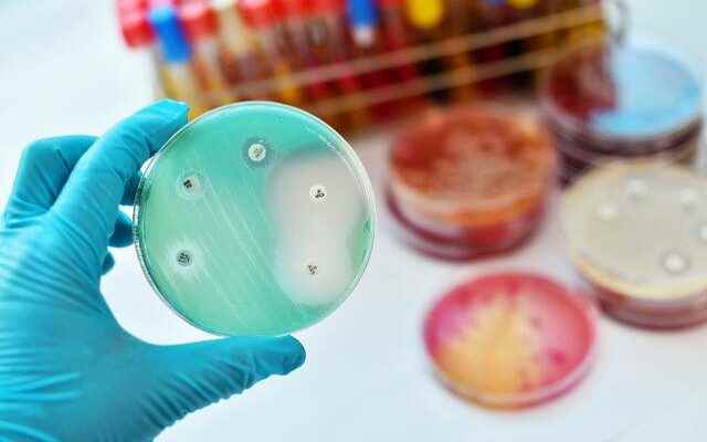 Developed effective drug against resistant bacteria
