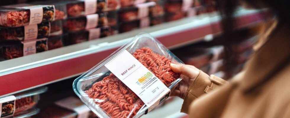 E coli bacteria be careful this minced meat should not