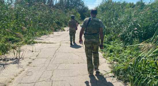 Faced with Western weapons in the Donbass the pro Russian artillery