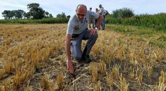 Faced with a record drought French farmers are trying to