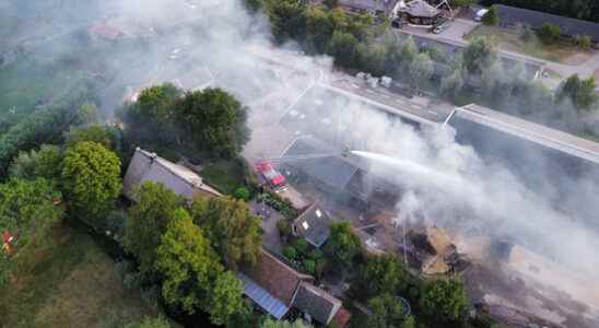 Fire in cow barn Lopik extinguished animals and people unharmed