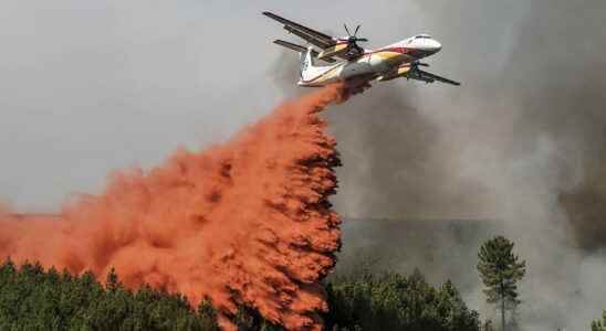 Fires in Gironde 7400 hectares burned the fire is no
