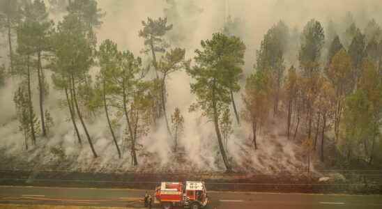 Fires in Gironde firefighters as reinforcements from Europe 7400 hectares